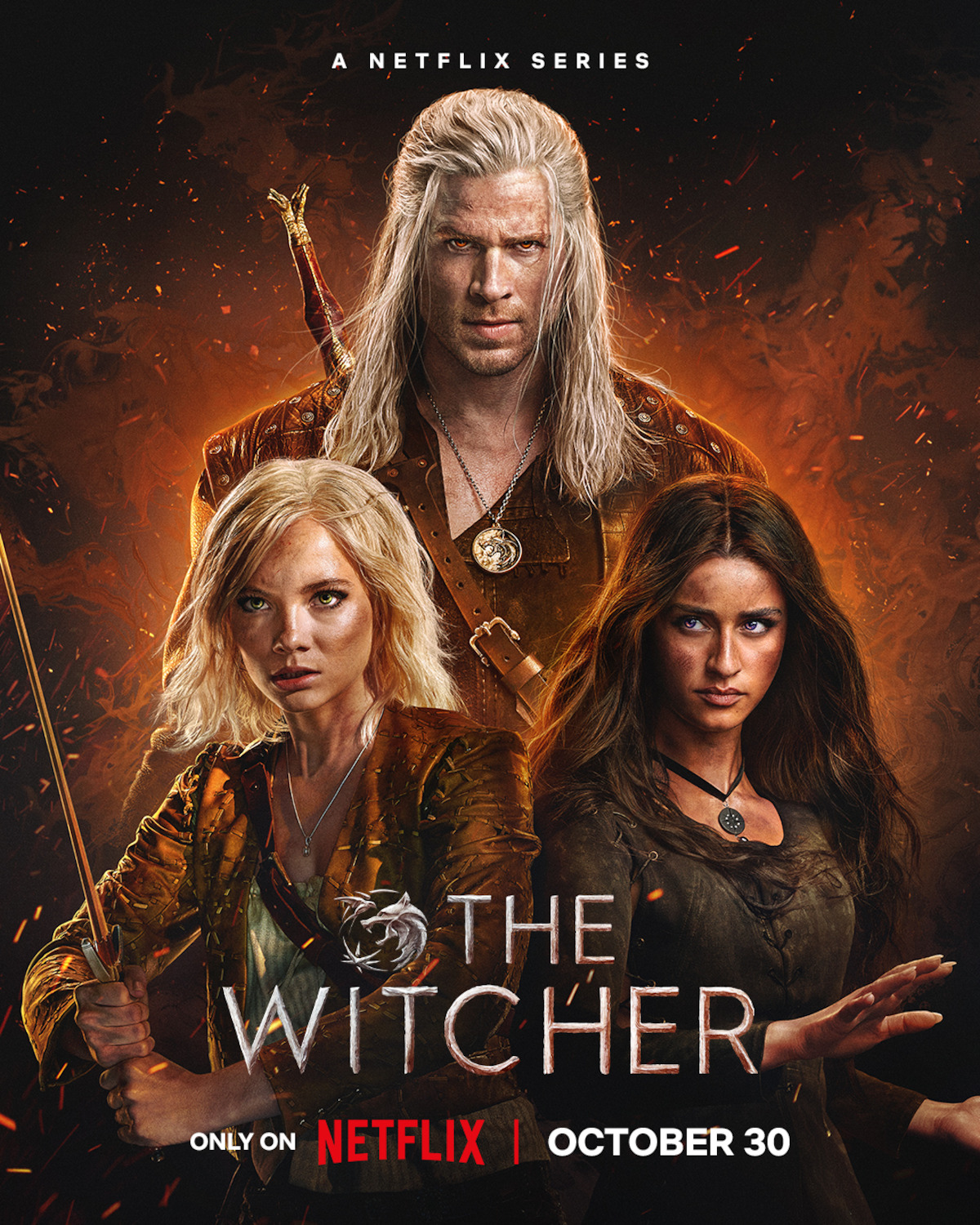 The Witcher S1-S4 poster