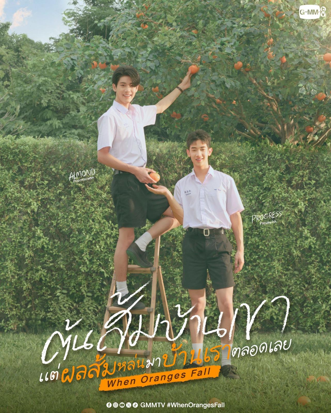 When Oranges Fall poster