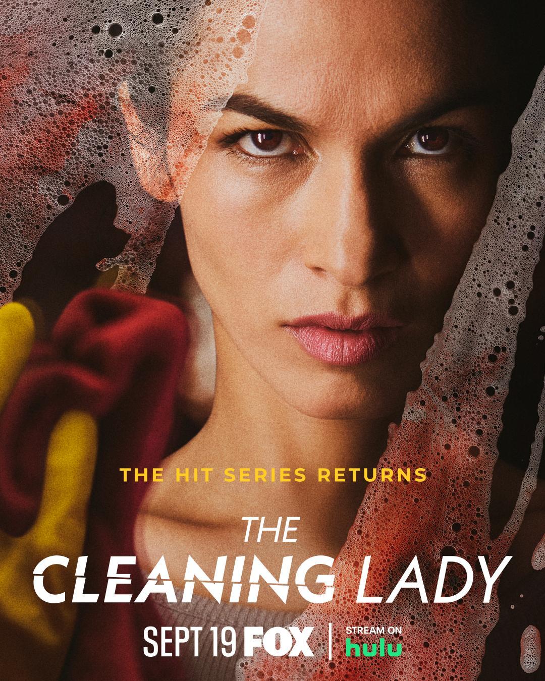 The Cleaning Lady S1-S4 poster