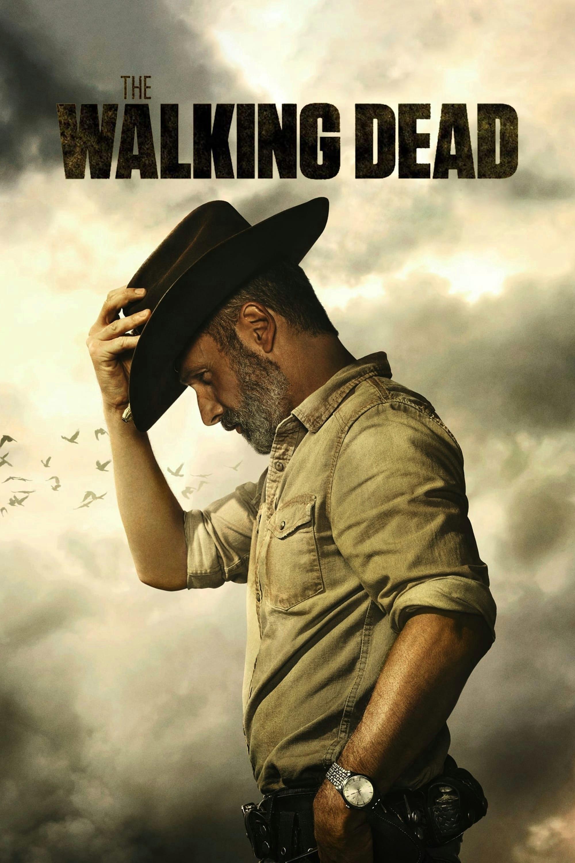 The Walking Dead S1-S11 poster
