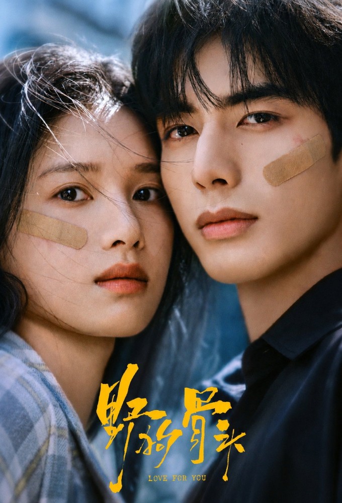 Love for You poster
