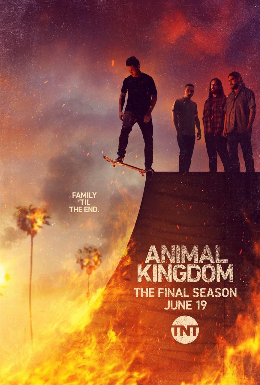 Animal Kingdom S1-S6 poster